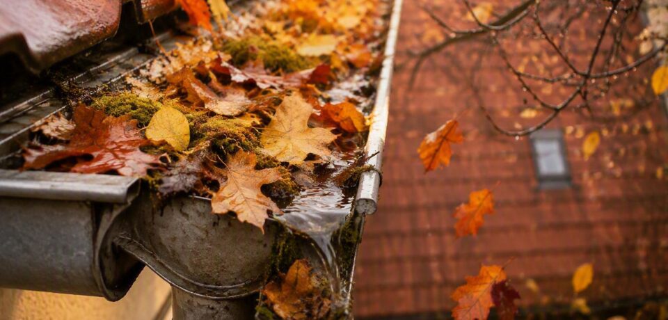 Dachrinne voller Herbstlaub Dachrinne voller Herbstlaub – Dachrinnenreinigung im Herbst in Fulda