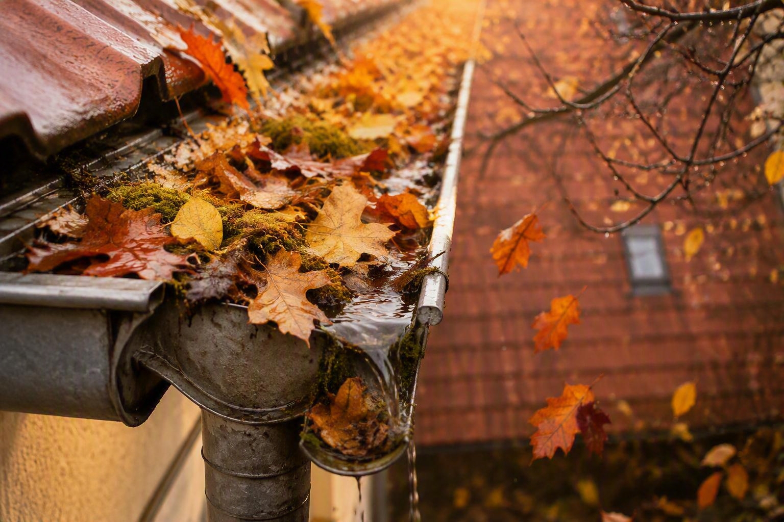 Dachrinne voller Herbstlaub  Dachrinnenreinigung im Herbst in Fulda